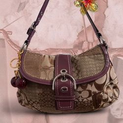 Coach Bags 