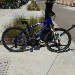 Specialized Mountain Bicycles