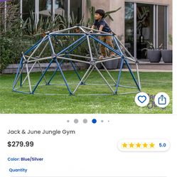 JUNGLE GYM