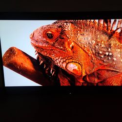 70 inch TV - OBO