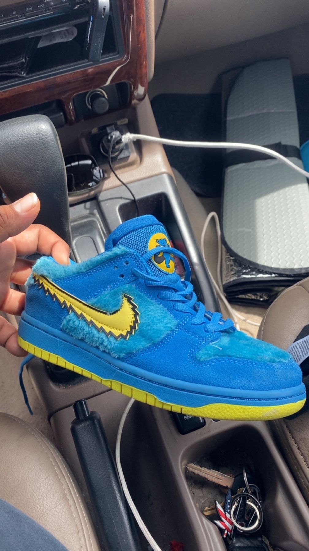 Nike X Grateful Dead Bears Dunks