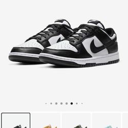 Panda Dunk 11m