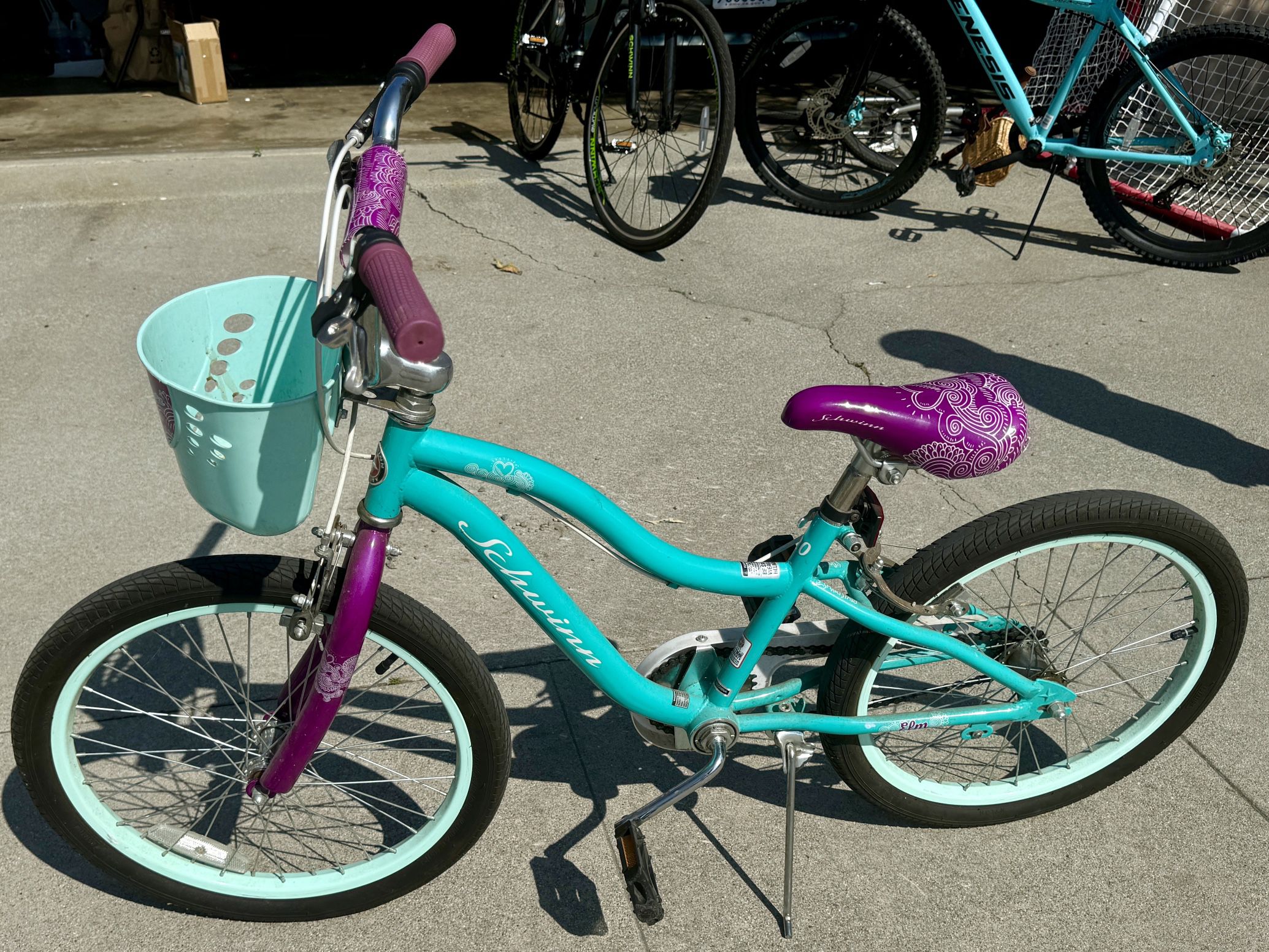 20” Schwinn Elm Girls Bike