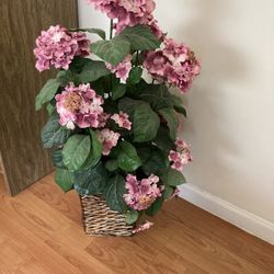 Fake Flower And Picture 