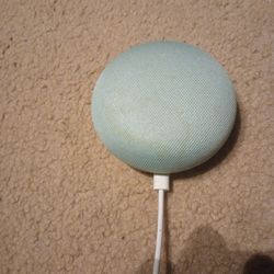 google nest mini speaker voice control like amazon Alexa Bluetooth 