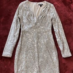 Express Silver Sequin Dress 