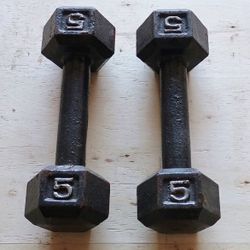 Iron Dumbbells (hex)
