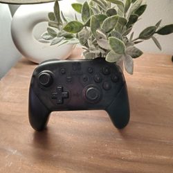Switch 1 Pro Controller 