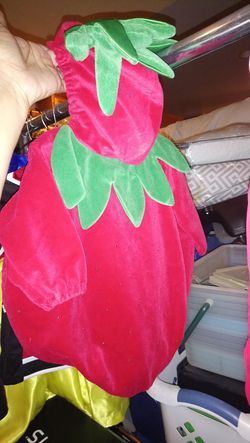 Halloween costumes