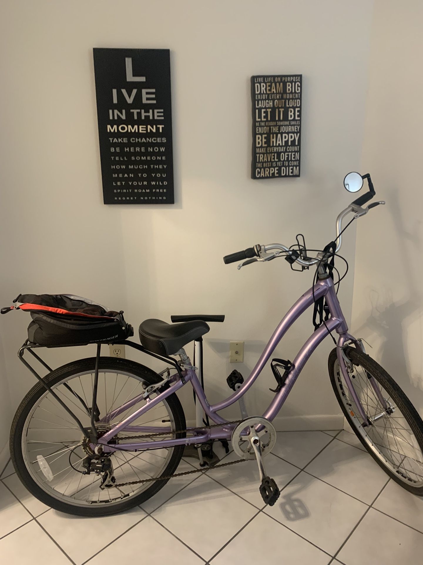 Trek Comfort Bike-perfect For Petite Riders As Well