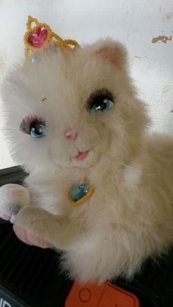 Bonita gatita por $5