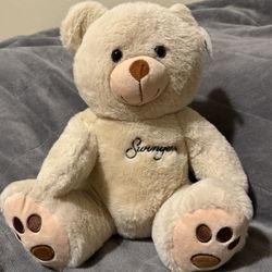 Teddy Bear Plush