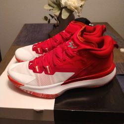 Jordan Zion 1 TB Size 11.5