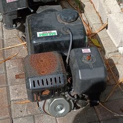 Predator 301cc  Engines   Parts