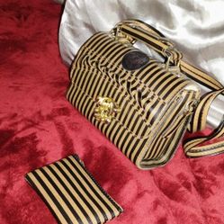 Fendi Purse With Mini Purse