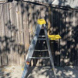 Aluminum Ladder