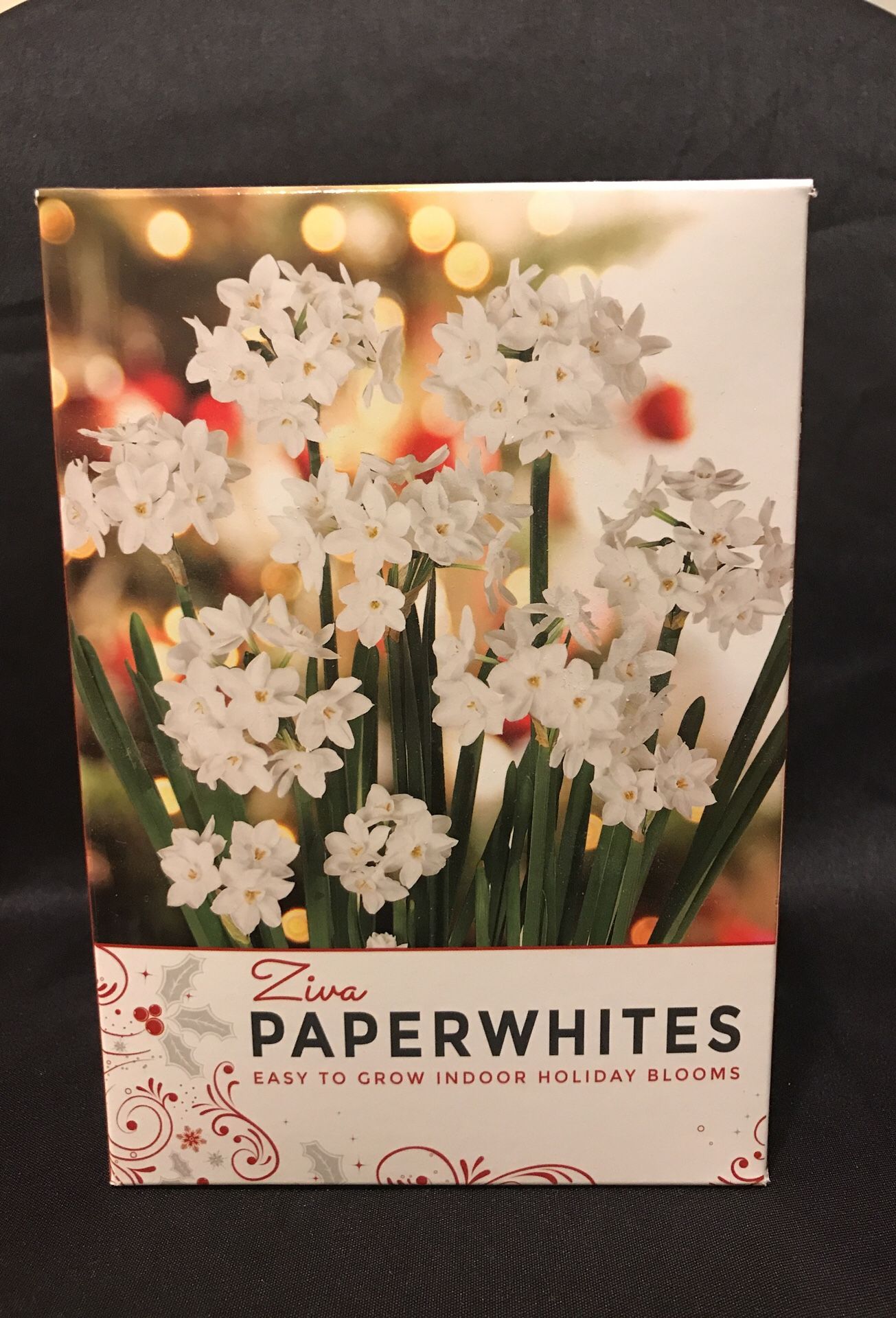 Brand New Ziva Paperwhites