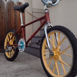 1980 Schwinn Scrambler SX500* $450