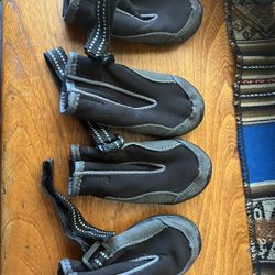 Dog Boots (medium) 