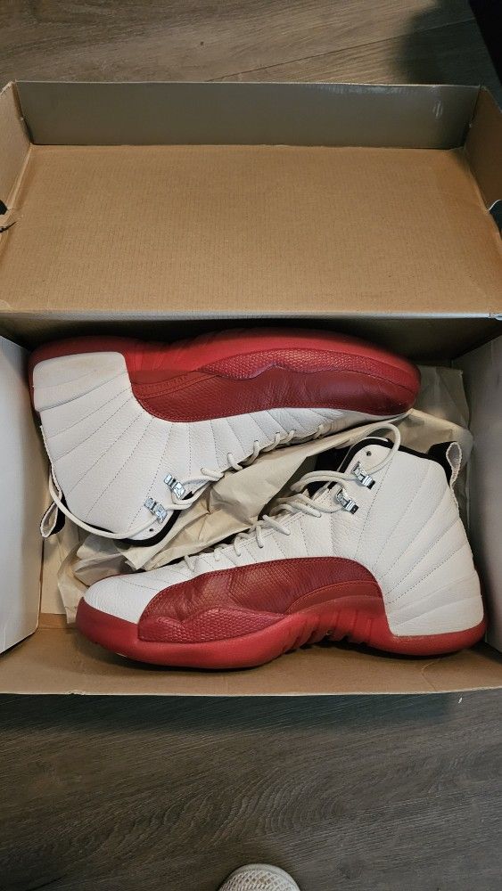 Air Jordan Retro 12