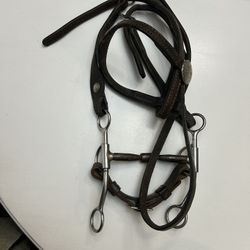 Horse bridle and bit
