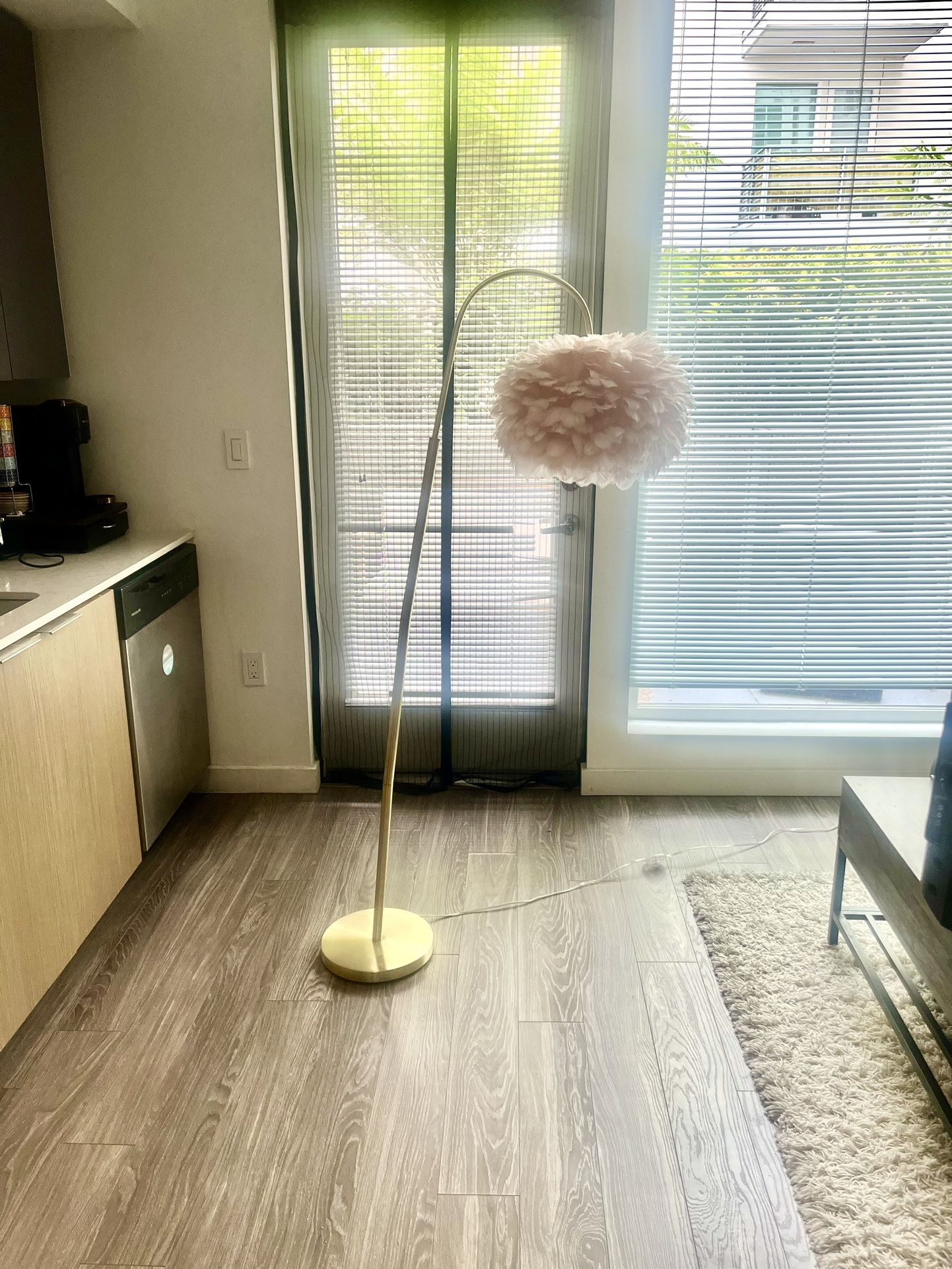 $80 Rachel Zoe Floor Lamp (As Seen OnTik Tok)
