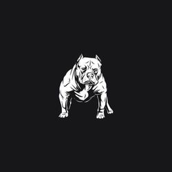 xlBully for sale