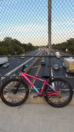 Pink and blue mafia bomma traffic