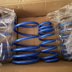 Manzo Lowering Springs Acura Rsx 