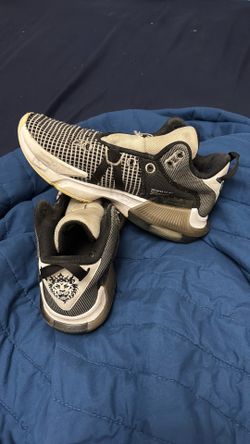 Nike LeBron Witness