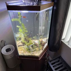  30 Gallon Hexagon Tank 