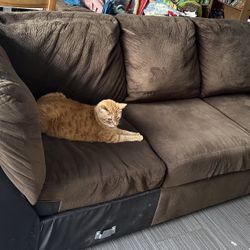 Soft Comfy Brown Couch 