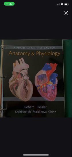 A photographic atlas for anatomy & physiology