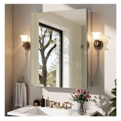 BEAUTYPEAK 20”x24” Bathroom Medicine Cabinet Mirror – Silver, Adjustable Shelves, Shatterproof