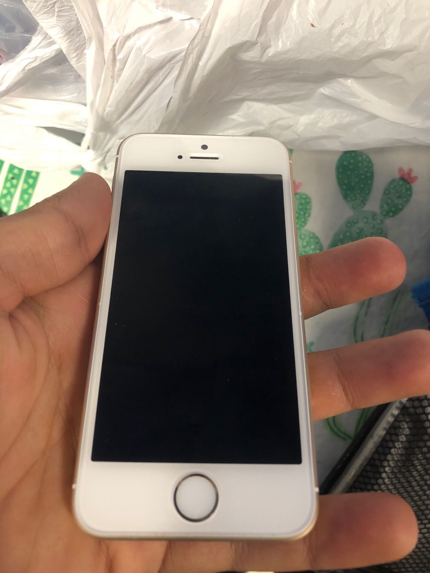 iPhone 5 SE Gold