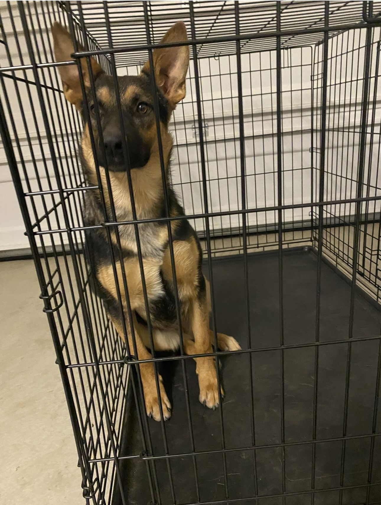 METAL FOLDABLE DOG KENNEL/Dog Crate - 4ft Long And 2.5 Ft Width 