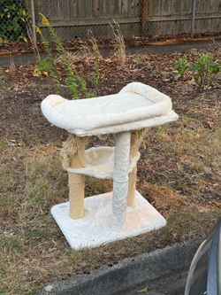 Free Cat Tower
