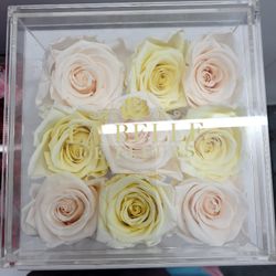 La Belle de Fleurs Eternity Roses
