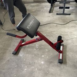 Stamina X Hyper Bench With Hyperextension Core Strengthening 