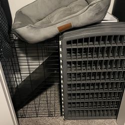 Dog Supplies 