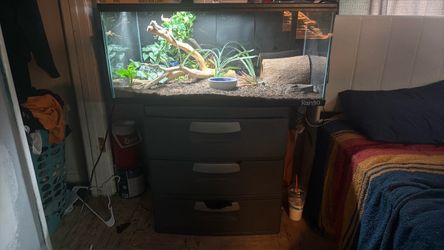 Bearded dragon enclosure for sale light and everything