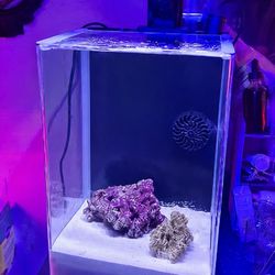 5 Gallon Salt water Tank