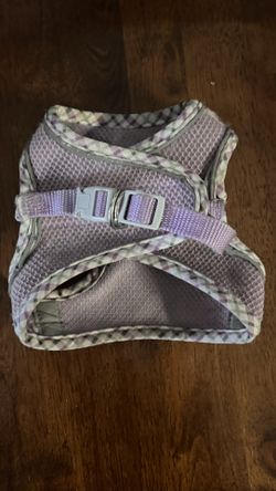 small dog harness