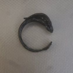 How to train your dragon toothless ring