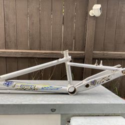 20in GT Speed Series Team Frame WALL HANGER $60