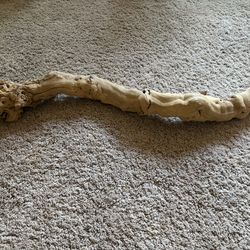 Free log for lizard or turtle