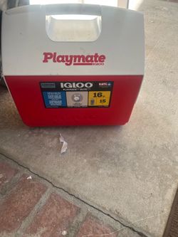 Igloo Playmate Elite 16-Quart