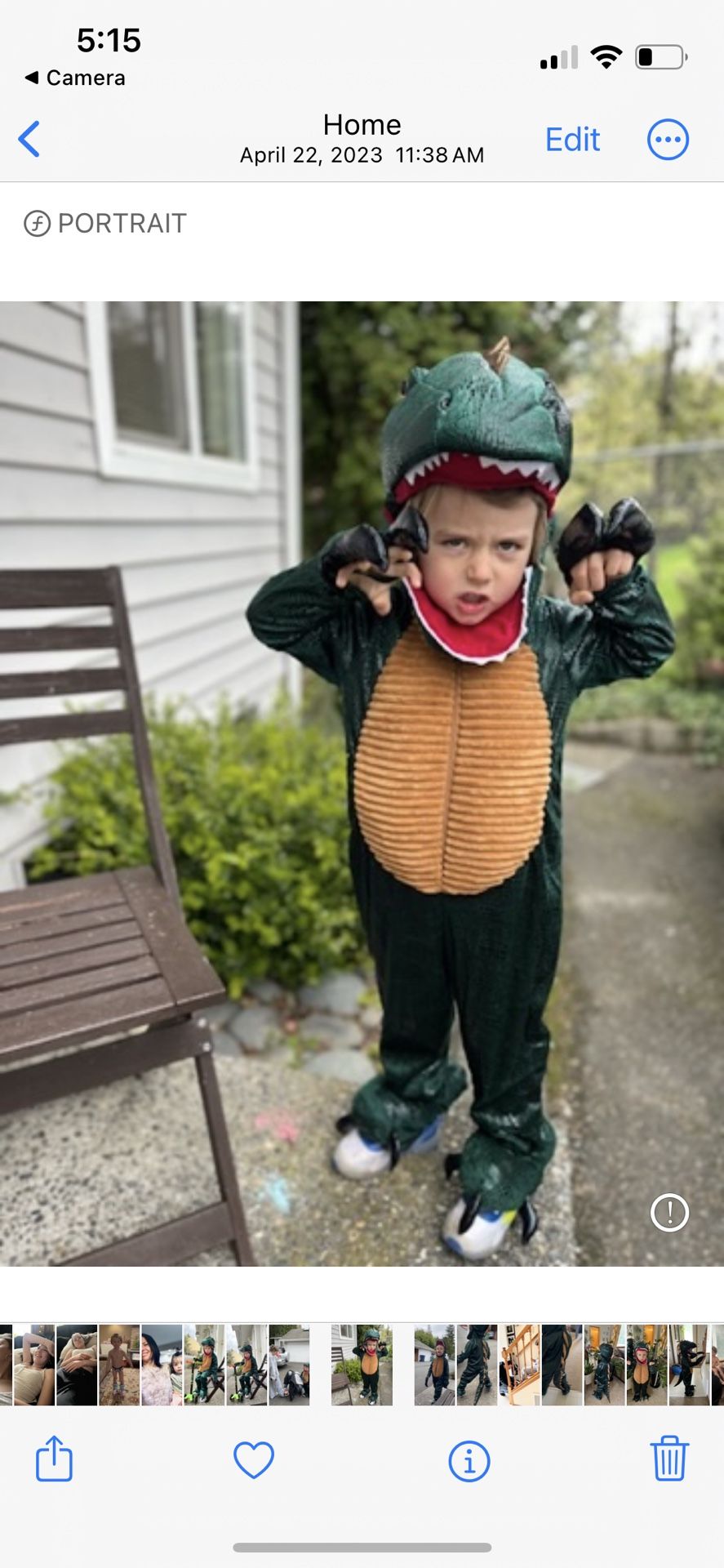 Dinosaur Costume. Size 4/5