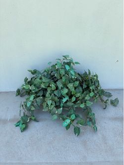 Artificial plant