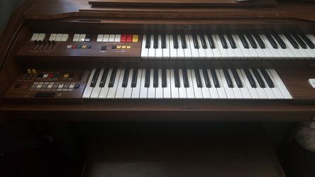Organ